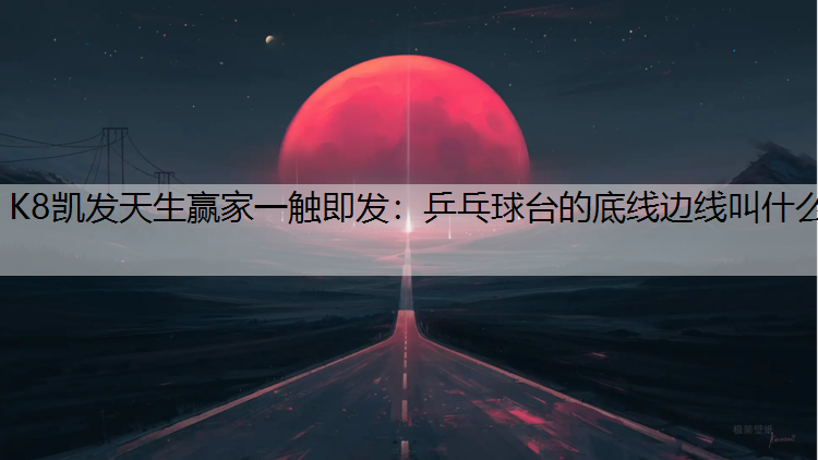 乒乓球台的底线边线叫什么